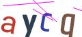 Security captcha image for appointment form